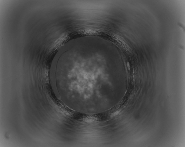 X0000091530696200709071041