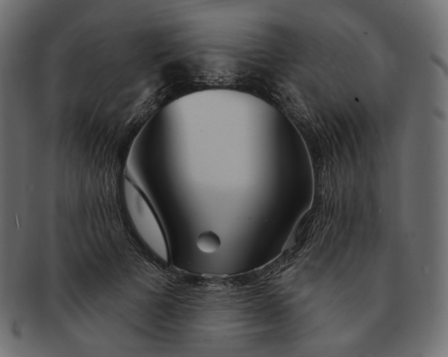 X0000091530697200709071041