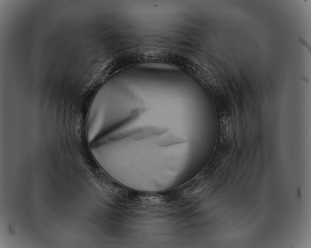 X0000091530698200709071041
