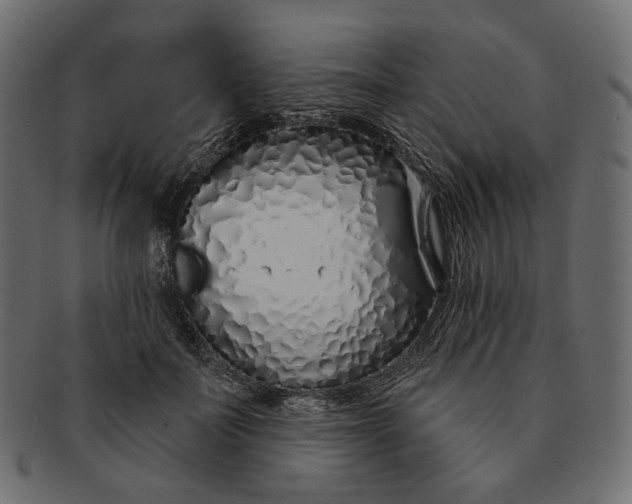 X0000091530699200709071040