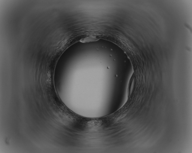 X0000091530700200709071040