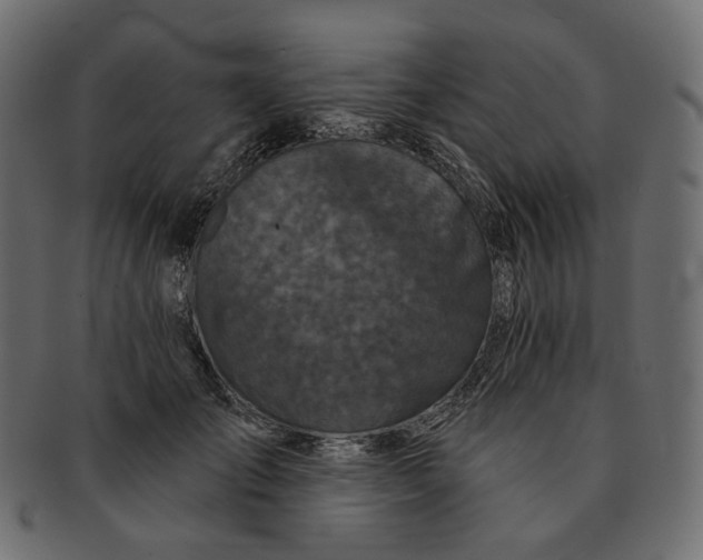 X0000091530701200709071040