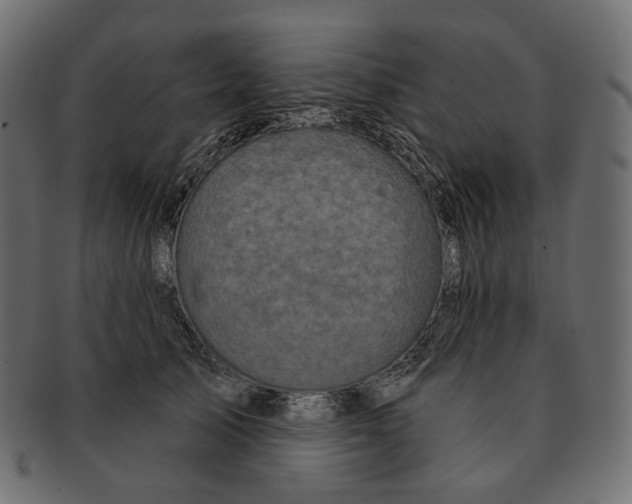 X0000091530705200709071040