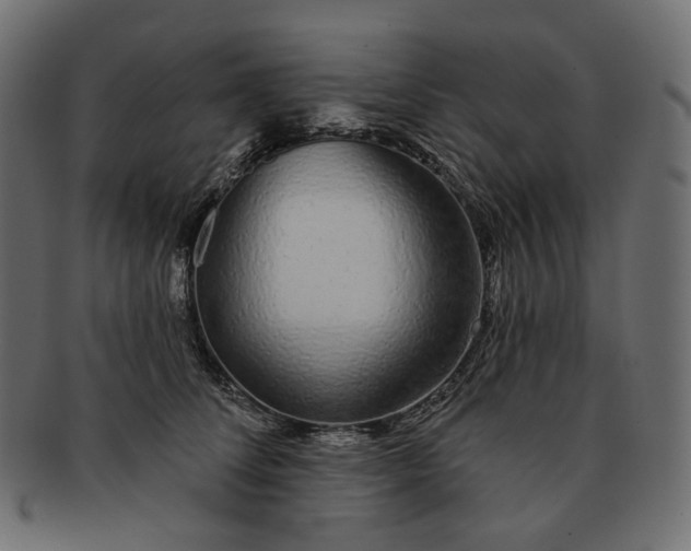 X0000091530708200709071040
