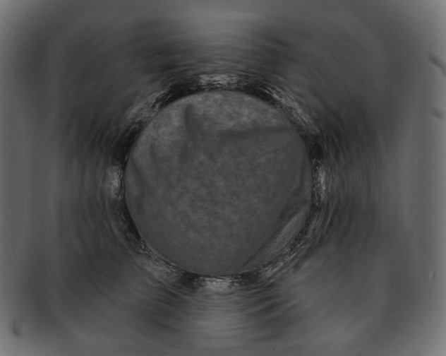 X0000091530709200709071040