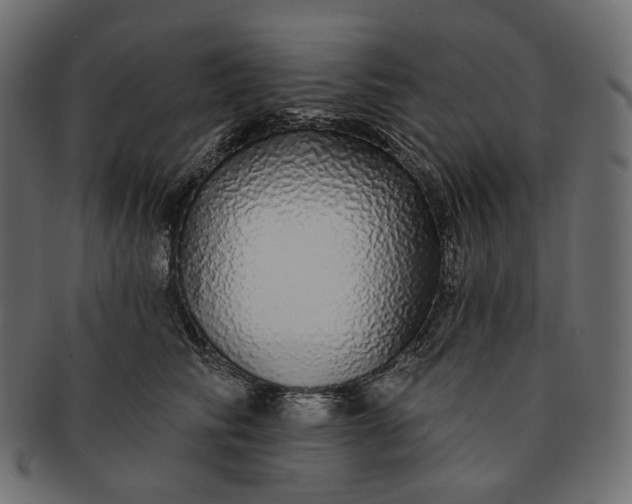 X0000091530710200709071040