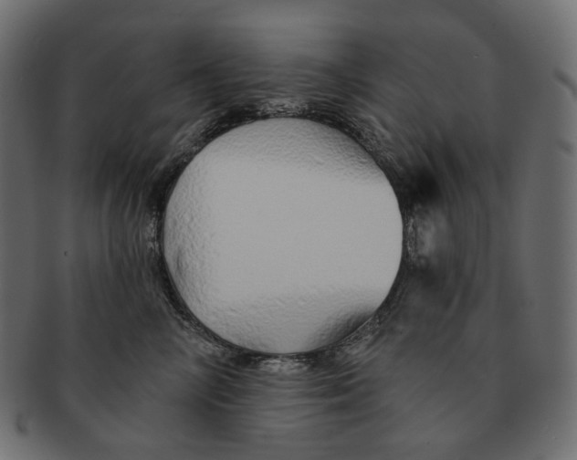 X0000091530714200709071040