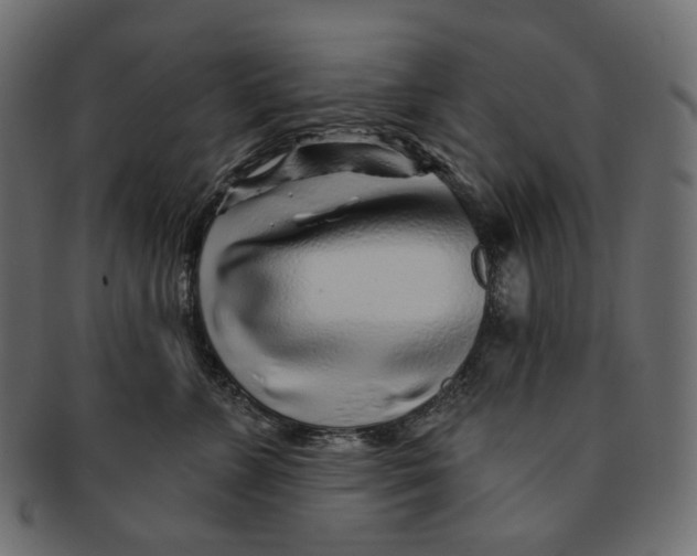 X0000091530715200709071040