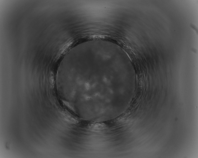 X0000091530716200709071040