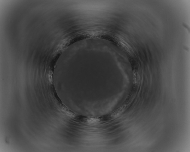 X0000091530718200709071040