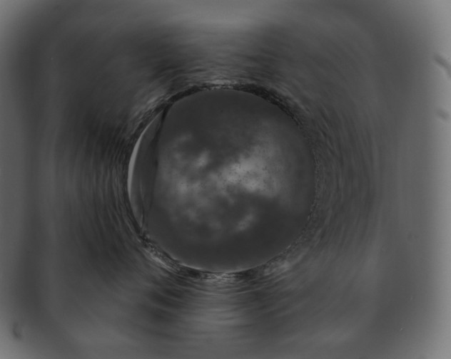 X0000091530720200709071040