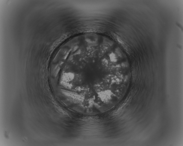 X0000091530721200709071040