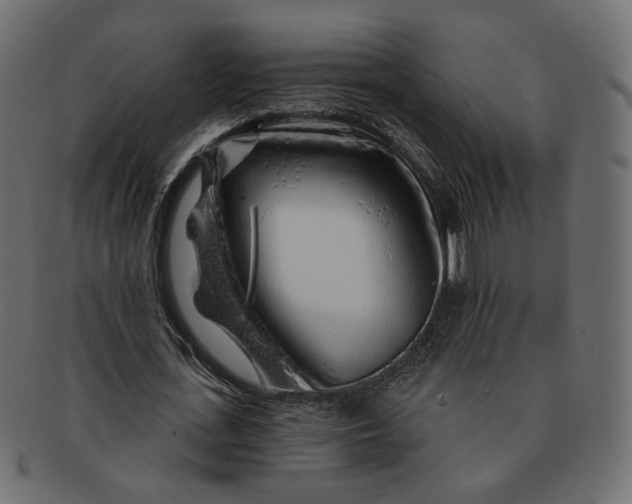 X0000091530723200709071040
