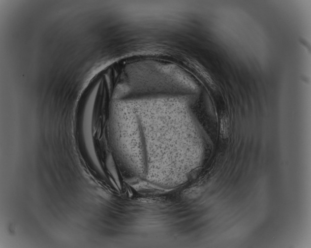 X0000091530724200709071040