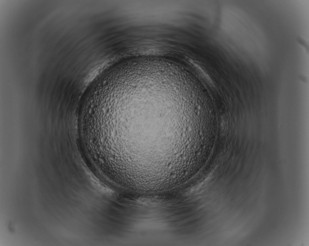 X0000091530725200709071040