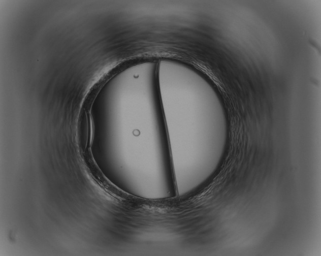 X0000091530726200709071040