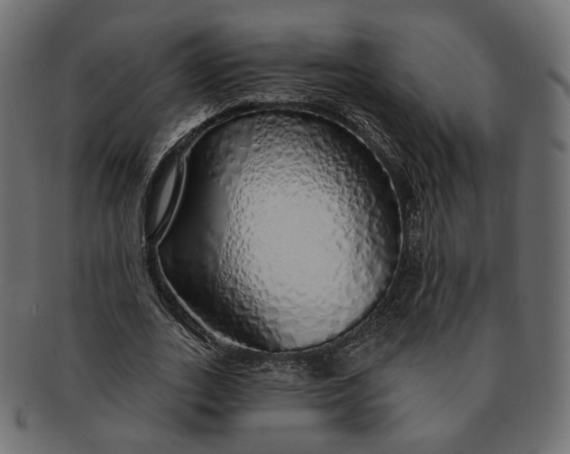 X0000091530727200709071040