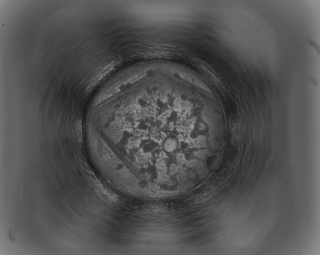 X0000091530729200709071040