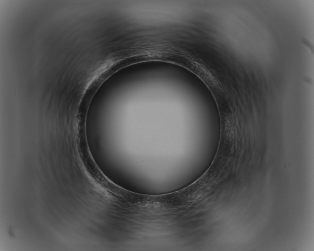 X0000091530730200709071040