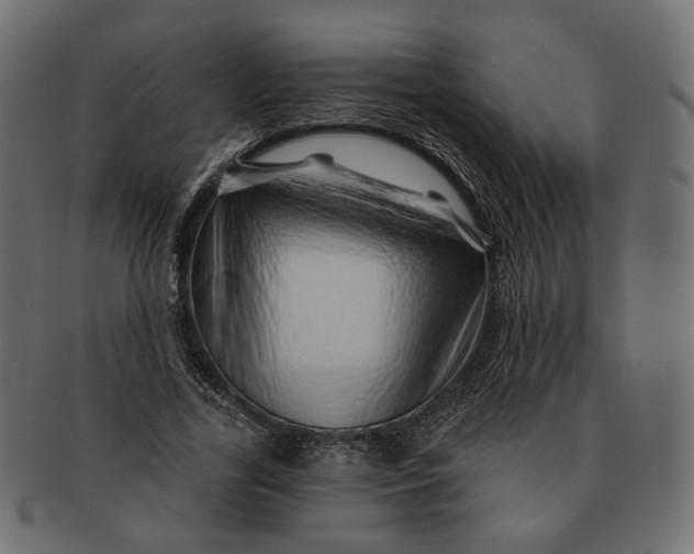 X0000091530731200709071040