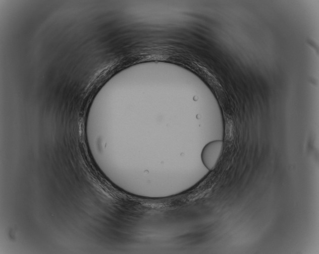 X0000091530733200709071040