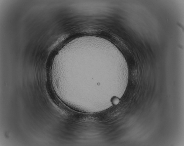 X0000091530734200709071040
