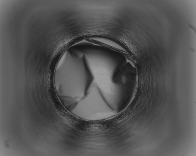 X0000091530736200709071040