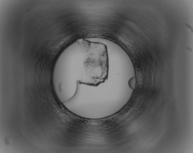 X0000091530737200709071040