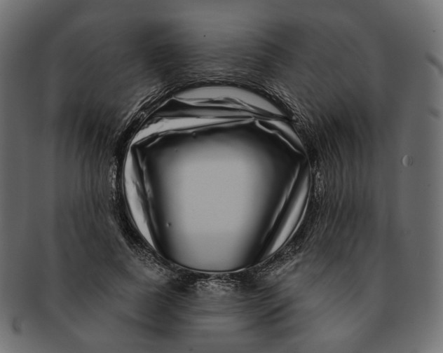 X0000091530739200709071040