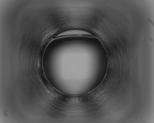 X0000091530740200709071040