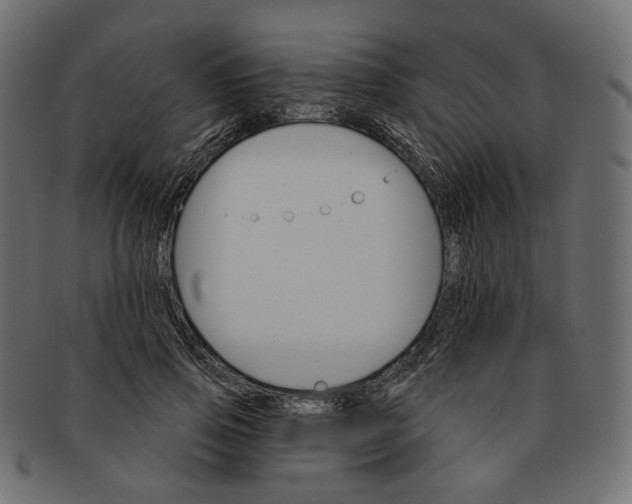 X0000091530741200709071040