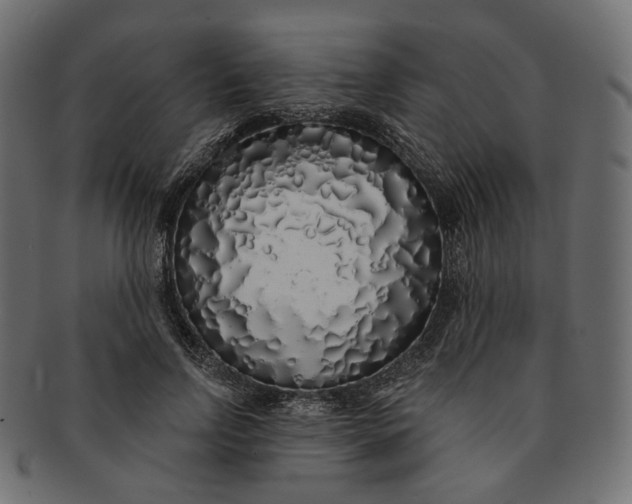 X0000091530742200709071040