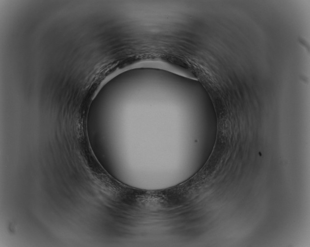 X0000091530743200709071040