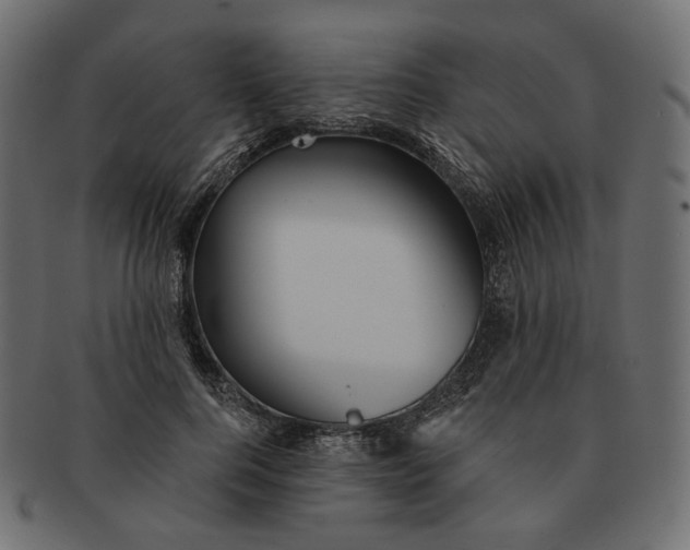 X0000091530744200709071040