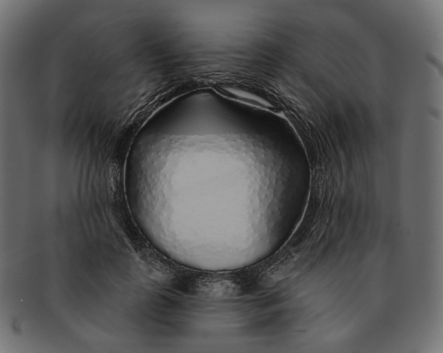 X0000091530747200709071040