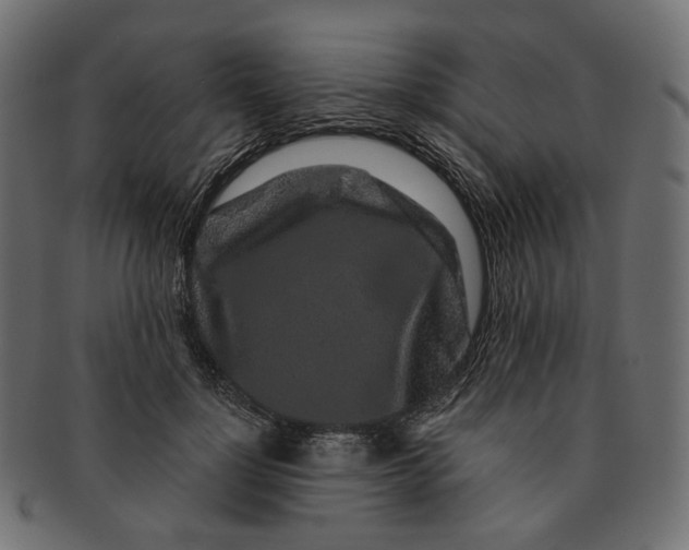 X0000091530748200709071040