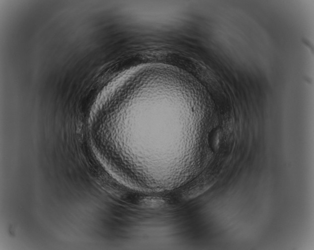 X0000091530749200709071040