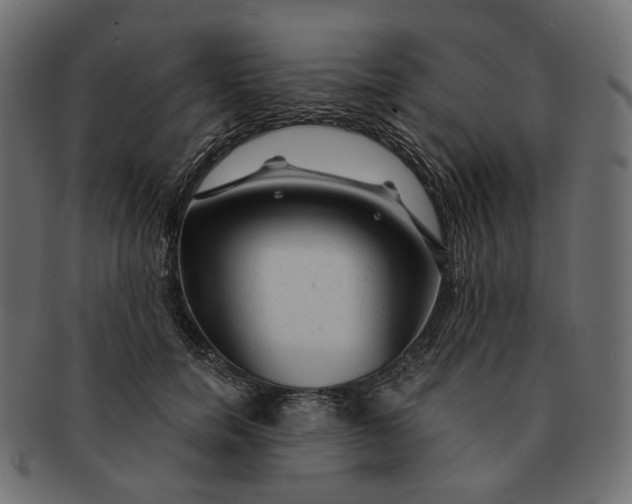 X0000091530750200709071040