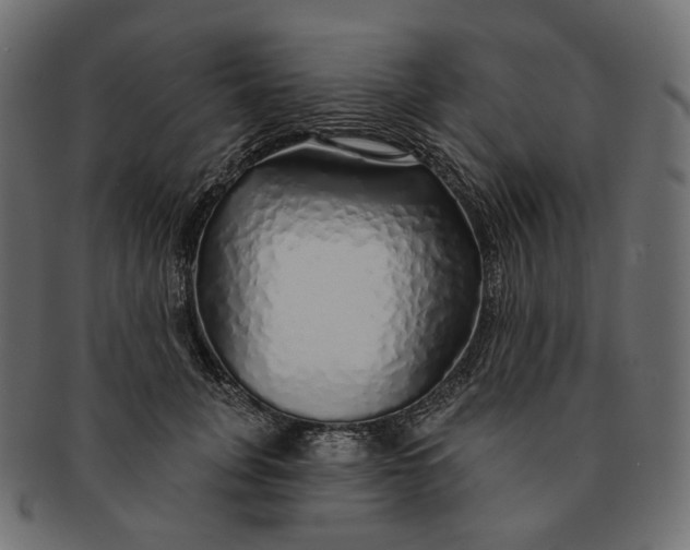 X0000091530751200709071040