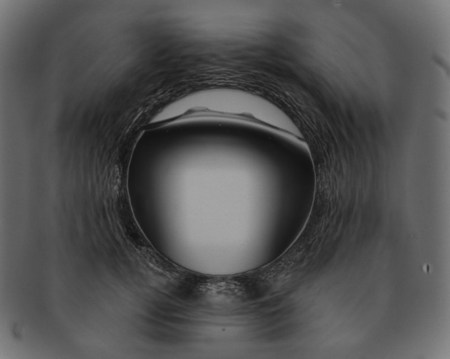 X0000091530752200709071040