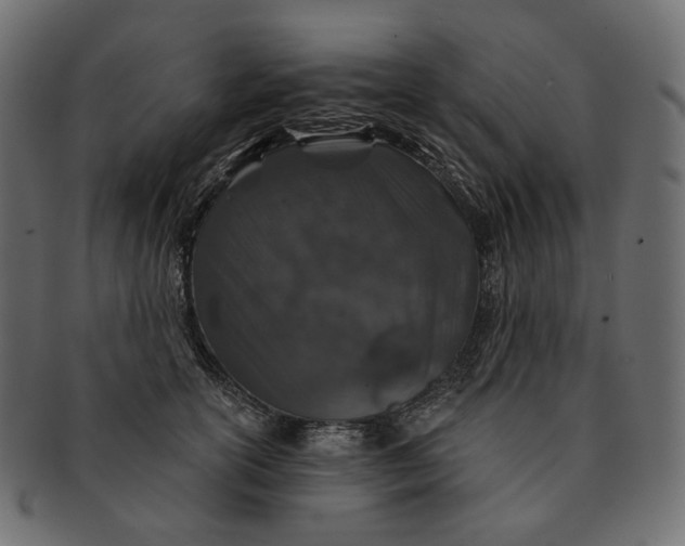 X0000091530754200709071040