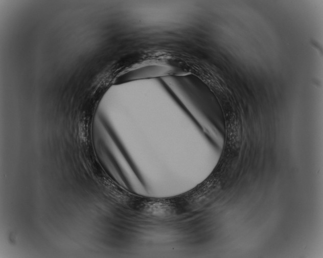 X0000091530755200709071040
