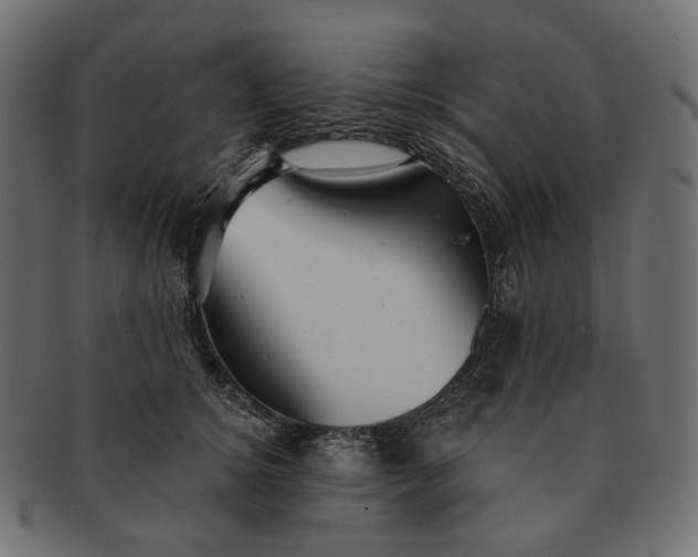X0000091530756200709071040