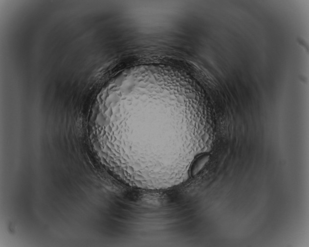 X0000091530757200709071040