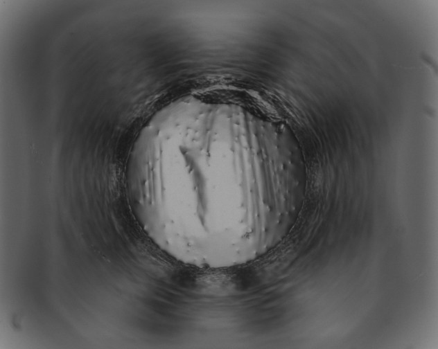 X0000091530759200709071040
