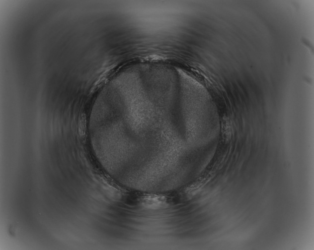 X0000091530760200709071040