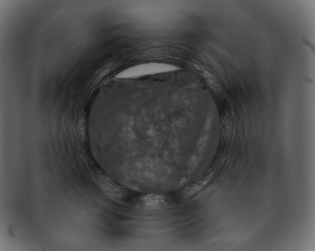 X0000091530762200709071040