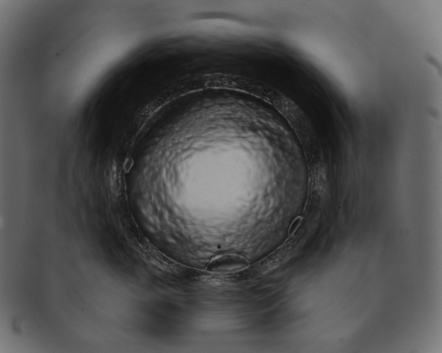 X0000091530763200709071040