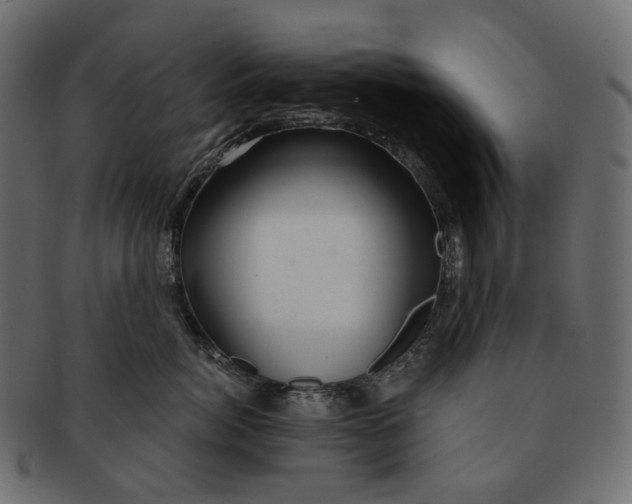 X0000091530764200709071040