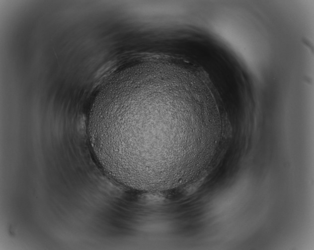 X0000091530765200709071040